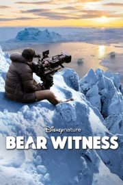 Bear Witness – Şahitlik etmek