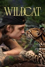 Wildcat – Yaban Kedisi