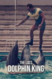 The Last Dolphin King – Yunus Eğitmenine Ne Oldu?