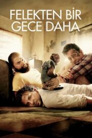 The Hangover Part 2 – Felekten Bir Gece: 2 Daha