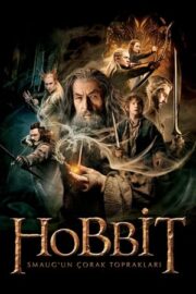 The Hobbit 2: The Desolation of Smaug – Hobbit 2: Smaug’un Çorak Toprakları